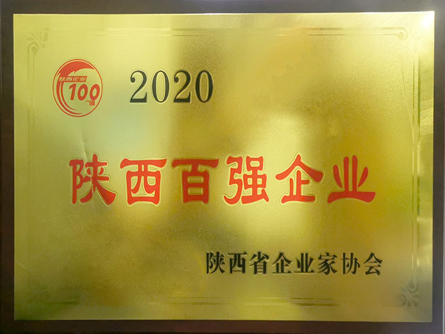 2020陕西百强企业