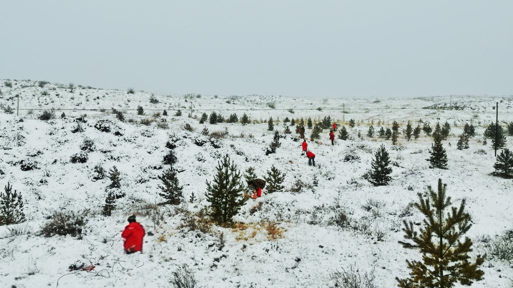 amjs澳金沙门线路(中国)有限公司首页