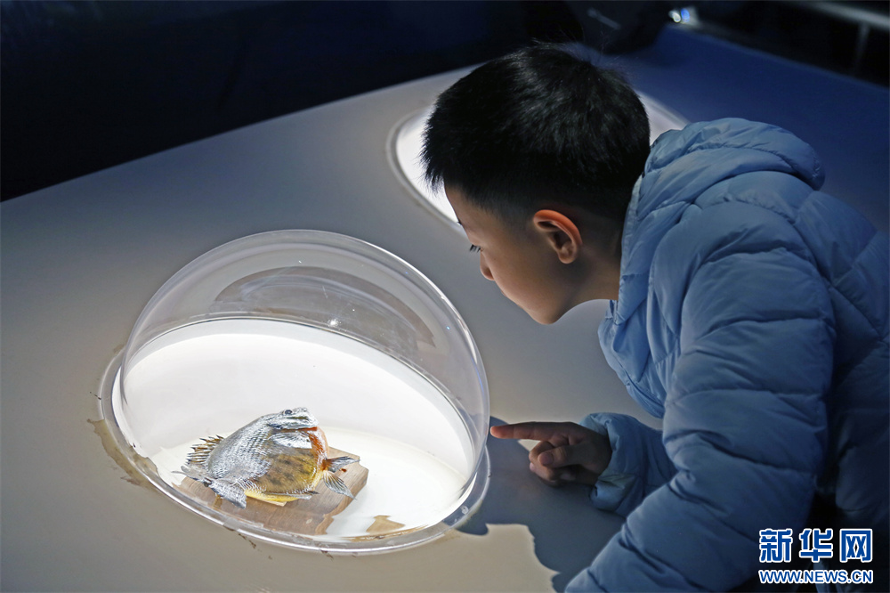 amjs澳金沙门线路(中国)有限公司首页